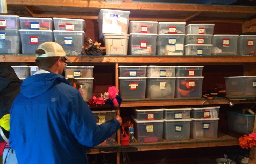 Ben revels in the beauty that is g3. Tubs are now labeled and color-coded.