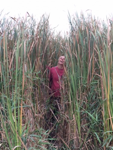 "It's probably just through these reeds!"