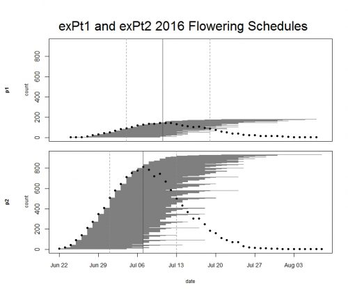 expt1and2floweringschedule