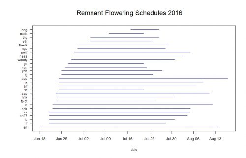 Blue line segments represent the duration of flowering for each remnant population. Click to enlarge!