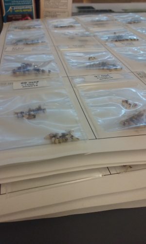 Sheets prepared for x-ray. Each of the little baggies contains informative achenes from either the top, middle or bottom of a seed head.