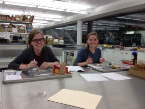 Josie & Emma dissecting Echinacea seedheads