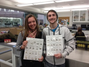 Amber & Tyler show the achene samples they prepared for x-raying