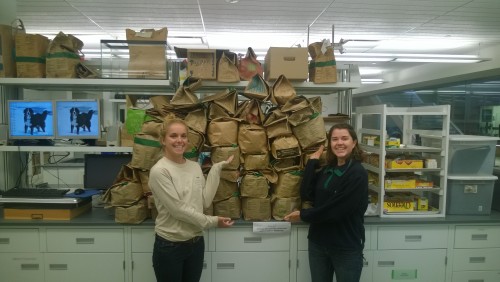 All the heads with Amy and Ali for scale