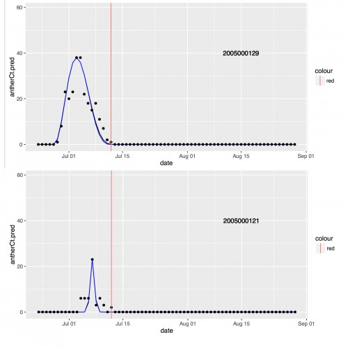 This photo shows 2 of the 347 curves that have been drawn. The black dots represent the actual number of flowers open on a given day, while the blue curve was drawn utilizing the parameter's calculated by Lou's program.