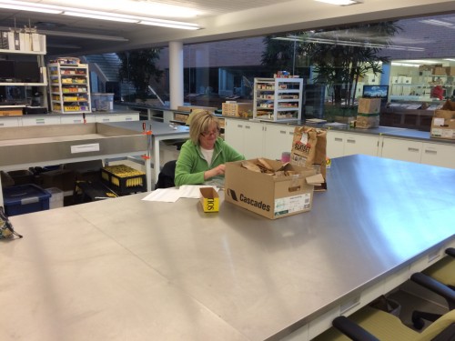 Katherine works on rechecking cleaned heads. We like efficiency here, but never at the sake of bad data so we have many checks throughout the process to ensure high quality data.