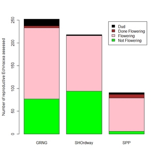 BarchartFloweringPhenology.jpeg