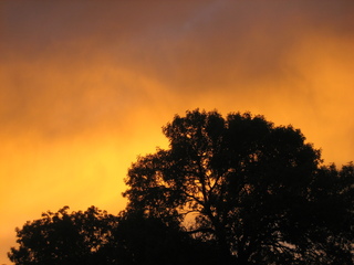 Sunset1.JPG